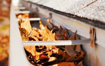 Lower Edmonton gutter cleaning companies