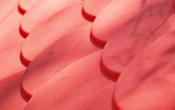 Lower Edmonton plastic roof costs