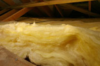 Lower Edmonton pitch roof insulation